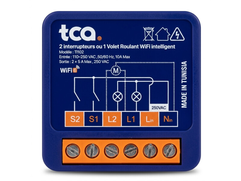 TI102 — Dual-Channel Smart Mini Relay